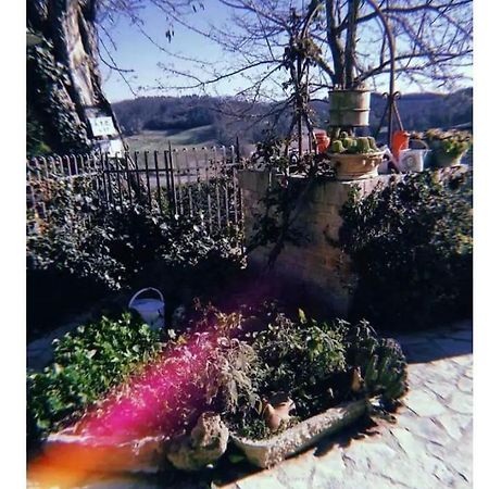 La Casina Di Ancicucco 1 San Gimignano Exterior foto